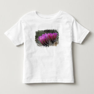 NA, USA, Arizona, Sonoran Desert. Hedgehog Toddler T-shirt