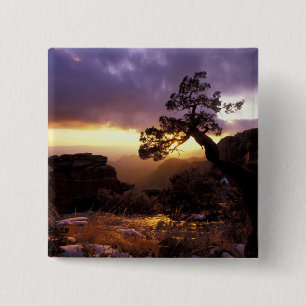 NA, USA, Arizona, Tucson, Sunset and lone 2 Inch Square Button