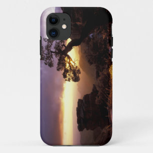 NA, USA, Arizona, Tucson, Sunset and lone iPhone 11 Case