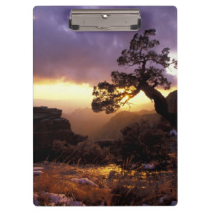 NA, USA, Arizona, Tucson, Sunset and lone Clipboard