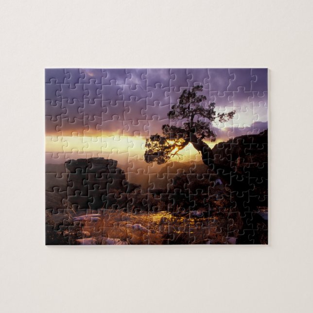 NA, USA, Arizona, Tucson, Sunset and lone Jigsaw Puzzle (Horizontal)