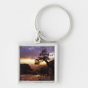 NA, USA, Arizona, Tucson, Sunset and lone Keychain