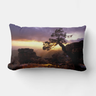 NA, USA, Arizona, Tucson, Sunset and lone Lumbar Pillow