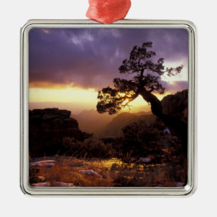 NA, USA, Arizona, Tucson, Sunset and lone Metal Ornament