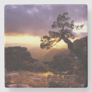 NA, USA, Arizona, Tucson, Sunset and lone Stone Coaster
