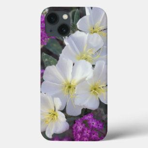 NA, USA, California, Anza Borrego Desert State iPhone 13 Case