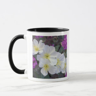 NA, USA, California, Anza Borrego Desert State Mug