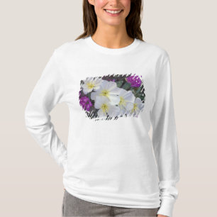 NA, USA, California, Anza Borrego Desert State T-Shirt