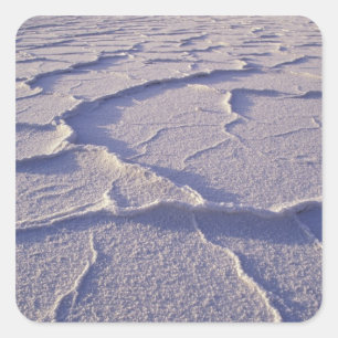 NA, USA, California. Death Valley National Square Sticker