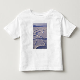 NA, USA, California. Death Valley National Toddler T-shirt