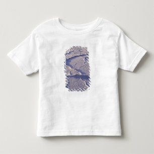 NA, USA, California. Death Valley National Toddler T-shirt