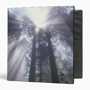 NA, USA, California. Del Norte Coast State 2 Binder