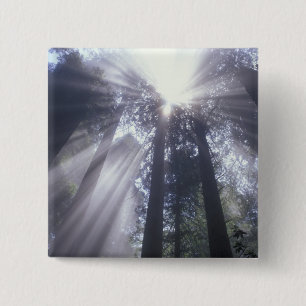 NA, USA, California. Del Norte Coast State 2 Inch Square Button