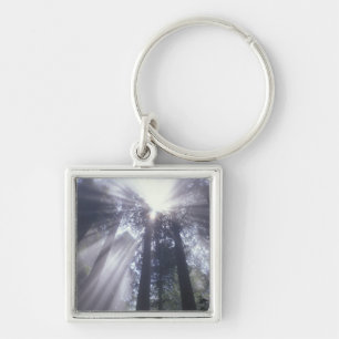 NA, USA, California. Del Norte Coast State 2 Keychain
