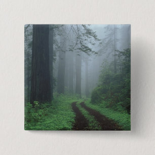 NA, USA, California. Del Norte Coast State Park. 2 Inch Square Button