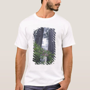 NA, USA, California. Del Norte Coast State Park. 2 T-Shirt