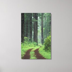 NA, USA, California. Del Norte Coast State Park. 3 Canvas Print