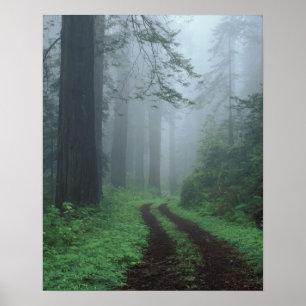 NA, USA, California. Del Norte Coast State Park. Poster