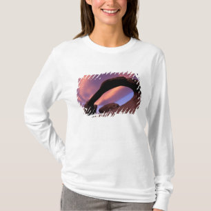 NA, USA, California, Eastern Sierra, Alabama T-Shirt