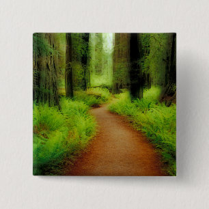 NA, USA, California, Jedediah Smith Redwoods 2 Inch Square Button