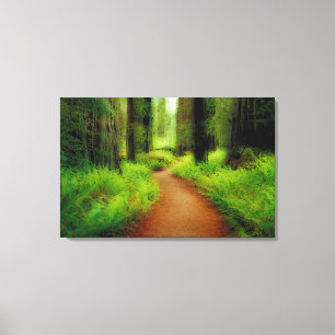 NA, USA, California, Jedediah Smith Redwoods Canvas Print
