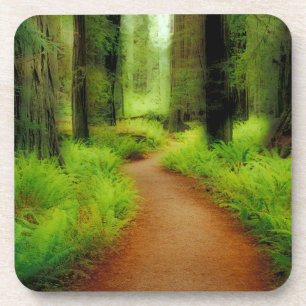NA, USA, California, Jedediah Smith Redwoods Coaster