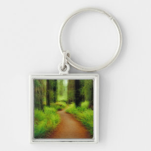 NA, USA, California, Jedediah Smith Redwoods Keychain