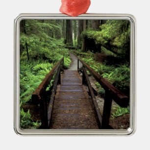 NA, USA, California, Jedidiah Smith Redwoods Metal Ornament