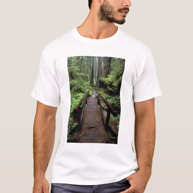 NA, USA, California, Jedidiah Smith Redwoods T-Shirt (Front)