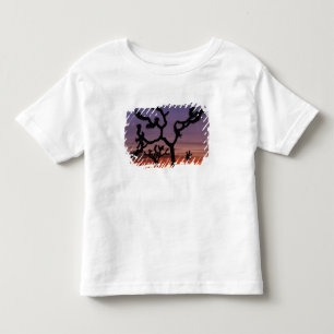 NA, USA, California. Joshua Tree National Toddler T-shirt