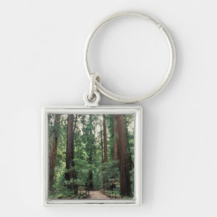 NA, USA, California, Marin County, Muir Woods Keychain