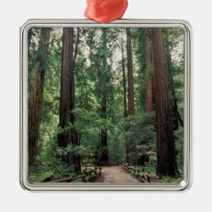 NA, USA, California, Marin County, Muir Woods Metal Ornament