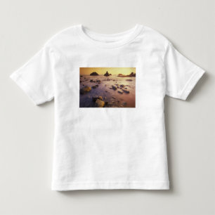 NA, USA, California, Northern California, Toddler T-shirt
