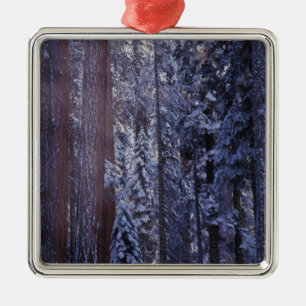 NA, USA, California. Sequoia National Park. 2 Metal Ornament