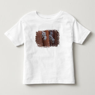 NA, USA, California. Sequoia National Park. Toddler T-shirt