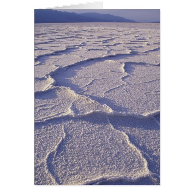 NA, USA, Californie. Death Valley National (Devant)