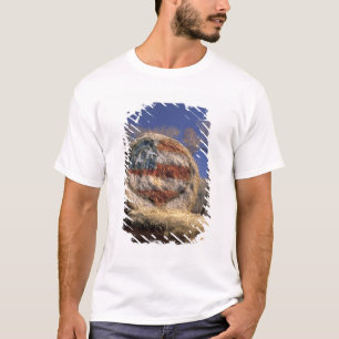 NA, USA, Colorado, Gunnison. Patriotic hay roll T-Shirt