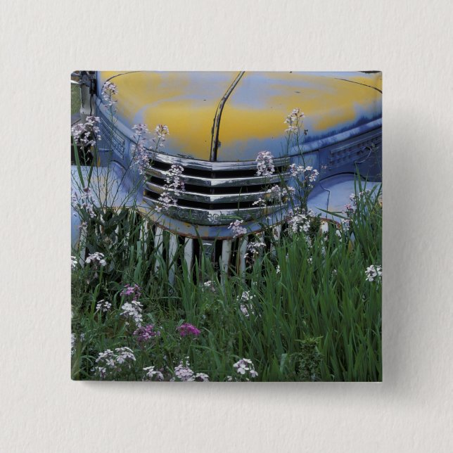 NA, USA, eastern Washington, Old truck with 2 Inch Square Button (Front)