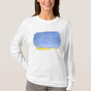 Na, USA, ID, Grangeville, Field of Canola Crop T-Shirt