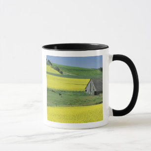 NA, USA, Idaho, near Potlatch, Canola and old Mug