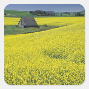 NA, USA, Idaho, near Potlatch, Wooden barn and Square Sticker