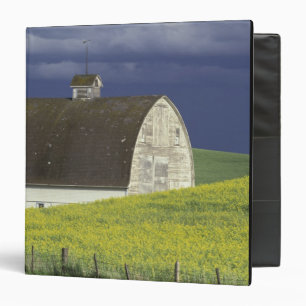NA, USA, Idaho, south of Genesse, Canola field Binder