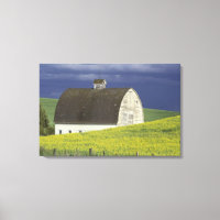 NA, USA, Idaho, south of Genesse, Canola field