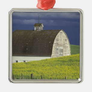 NA, USA, Idaho, south of Genesse, Canola field Metal Ornament
