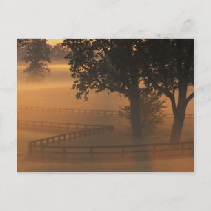 NA, USA, Kentucky. Foggy sunrise on Kentucky Postcard