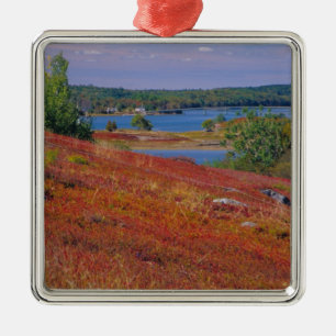 NA, USA, Maine. Blueberry Barrens. Metal Ornament