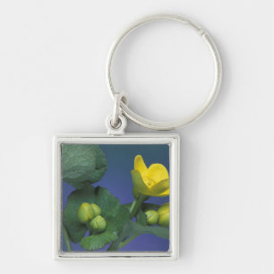 NA, USA, Michigan, Rochester Hills. Marsh Keychain