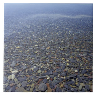NA, USA, Montana, Glacier NP Rocks in Lake Tile
