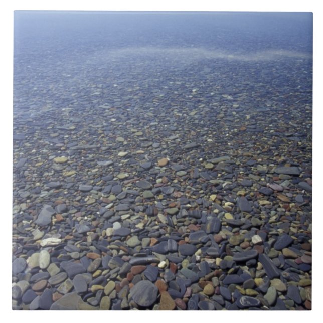 NA, USA, Montana, Glacier NP Rocks in Lake Tile (Front)