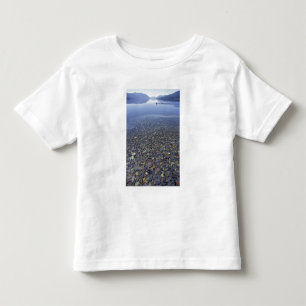 NA, USA, Montana, Glacier NP Rocks in Lake Toddler T-shirt